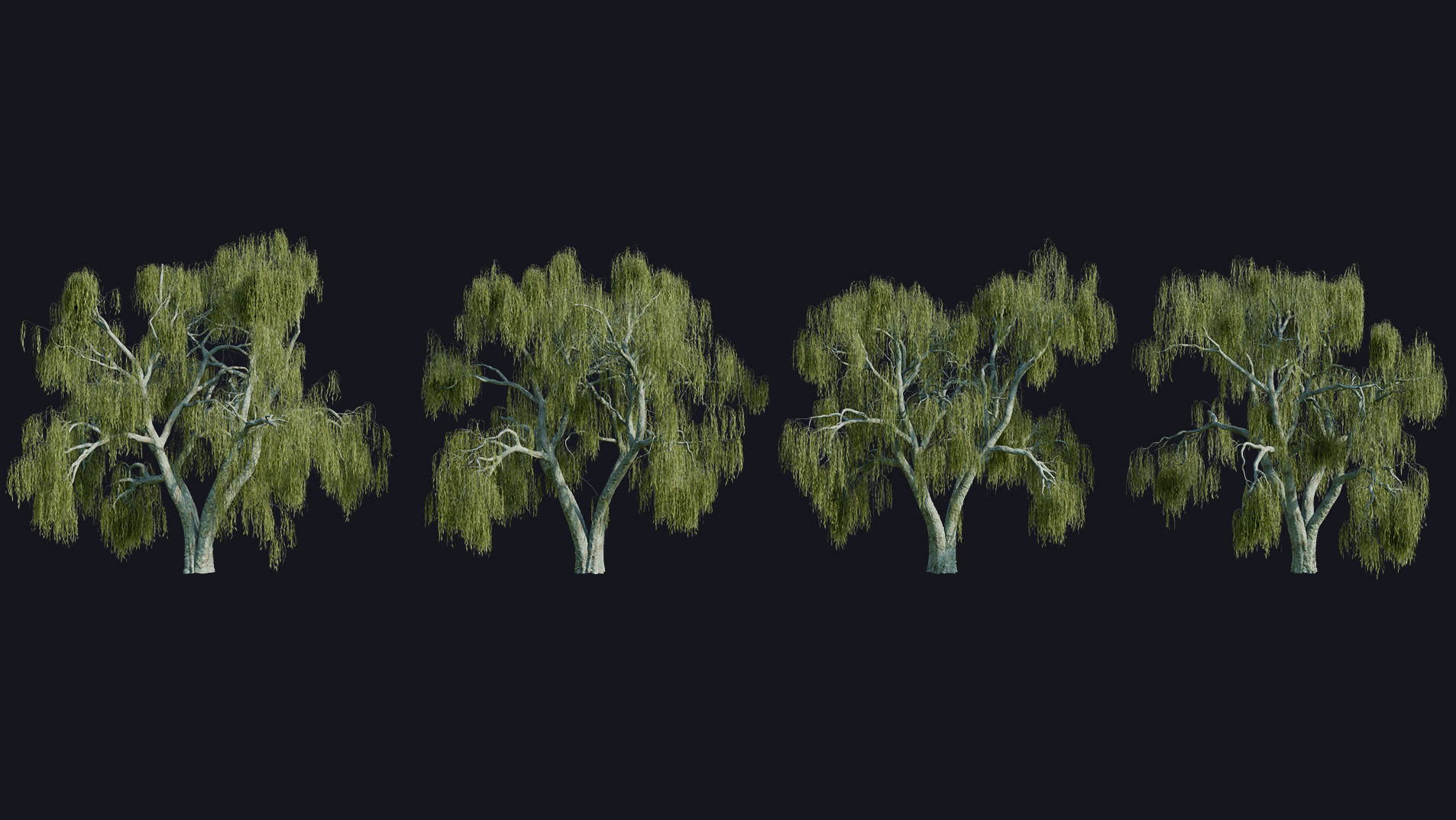 Willow Trees preview